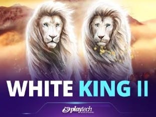 White King Ii™ game cover