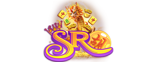 idsr996.com Logo